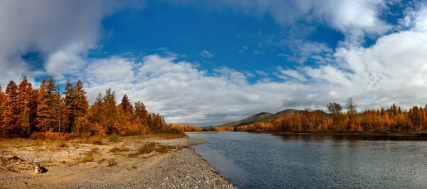 Rosja Dalekiego Wschodu Barwy Jesieni Zimnej Wody Rzek Magadan — Zdjęcie stockowe