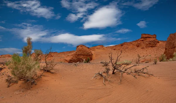 Mongolia Herman Tsav Oasis Martwe Pustyni Gobi — Zdjęcie stockowe