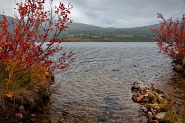 Rusya. Magadan. Uzakdoğu'nun sonbahar inanılmaz güzelliği. Göl Maxi