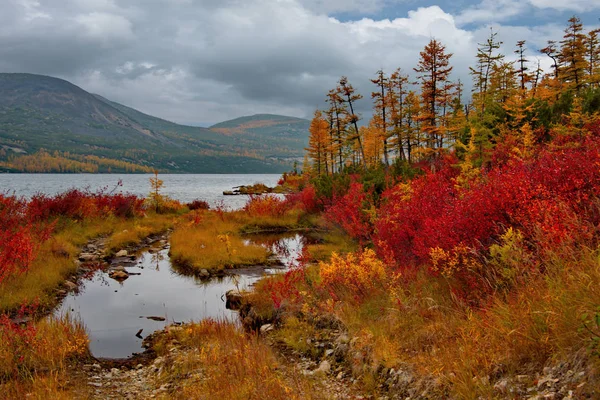Ryssland Magadan Den Fantastiska Skönheten Hösten Fjärran Östern Den Sjön — Stockfoto