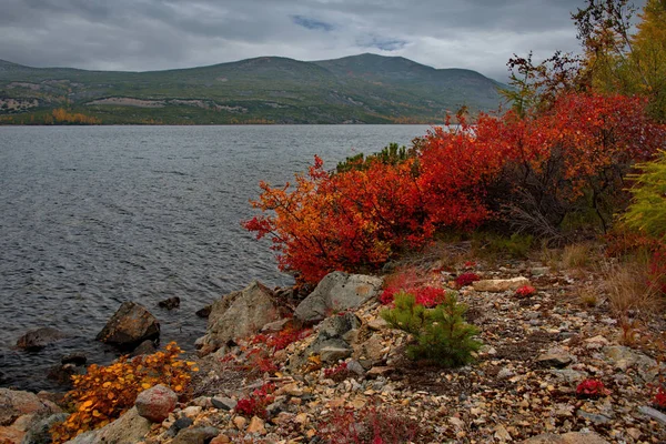 Russia Magadan Amazing Beauty Autumn Far East Lake Maxi — Stock Photo, Image