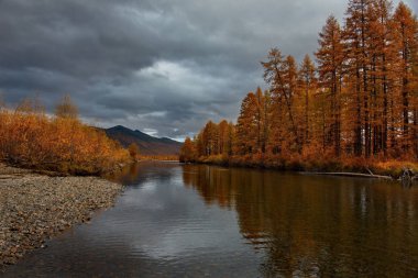 Rusya. Uzak Doğu. Sonbahar, Magadan soğuk su ırmakları kullanılır.