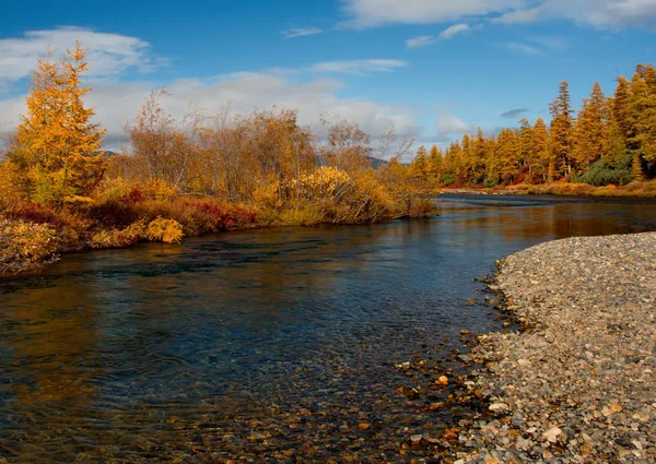 Russia. far East. The colours of autumn are cold-water rivers of Magadan.