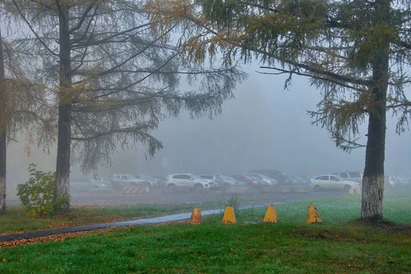 Rosja Południe Zachodniej Syberii Mglisty Poranek City Park — Zdjęcie stockowe