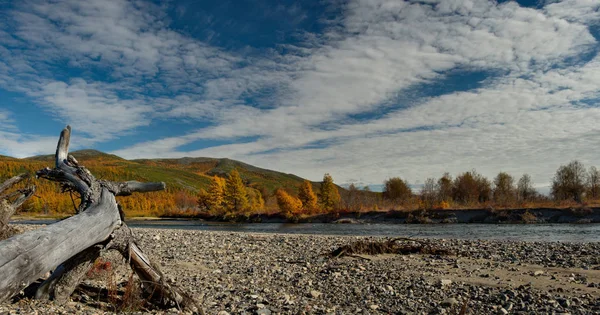 Ryssland Fjärran Östern Färgerna Hösten Kallt Vatten Floderna Magadan — Stockfoto