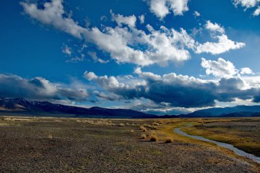 Batı Moğolistan. Yüksek dağ bozkırlarında seyrek bitki örtüsü
