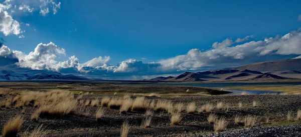 West Mongolië Schaarse Vegetatie Van Hoge Berg Steppes — Stockfoto