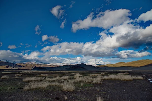 西蒙古 高山草原稀疏的植被 — 图库照片