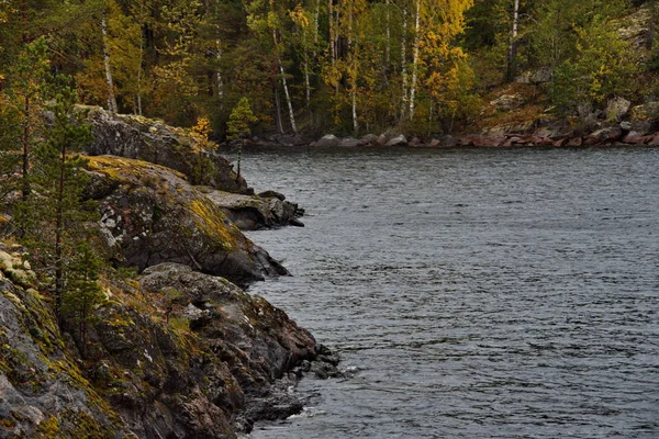 ロシア カレリア ラドガ湖の憂鬱な秋 — ストック写真