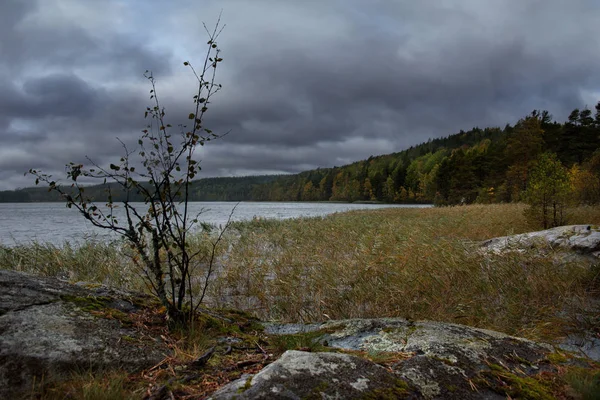 Rusia Karelia Otoño Sombrío Lago Ladoga —  Fotos de Stock