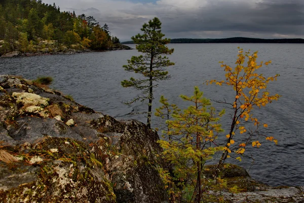 Rússia Carélia Outono Sombrio Lago Ladoga — Fotografia de Stock