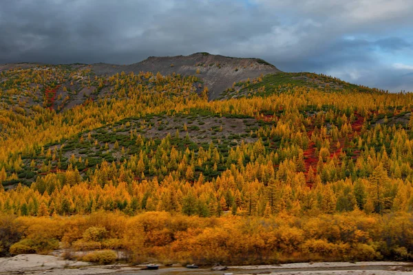 Ryssland Magadan Regionen Hösten Taiga Permafrost — Stockfoto