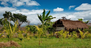 Doğu Hindistan. Assam devlet. Himalayaların eteklerinde'de kış