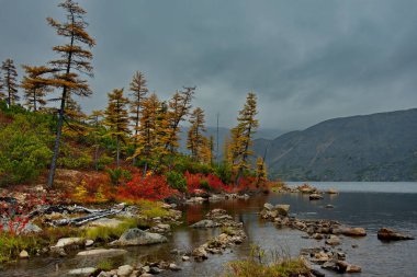 Rusya. Magadan. Uzakdoğu'nun sonbahar inanılmaz güzelliği. Göl Maxi