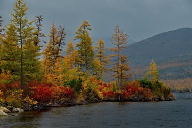 Rusya. Magadan. Uzakdoğu'nun sonbahar inanılmaz güzelliği. Göl Maxi