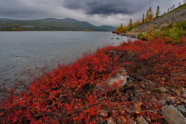 Russland Magadan Die Erstaunliche Schönheit Des Herbstes Des Fernen Ostens — Stockfoto