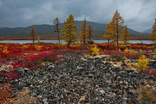 Ryssland Magadan Den Fantastiska Skönheten Hösten Fjärran Östern Den Sjön — Stockfoto