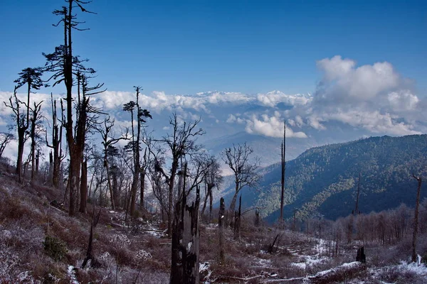 View Snow Covered Himalayas Height 3250M Eastern India Arunachal Pradesh — Stock Photo, Image