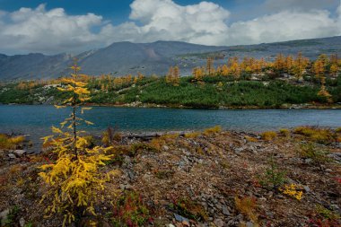 Rusya. Magadan. Uzakdoğu'nun sonbahar inanılmaz güzelliği. Göl Maxi