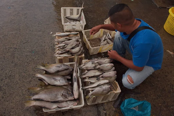 Sandakan Malásia 2018 Mercado Peixe Oceano Pacífico Todos Dias Antes — Fotografia de Stock