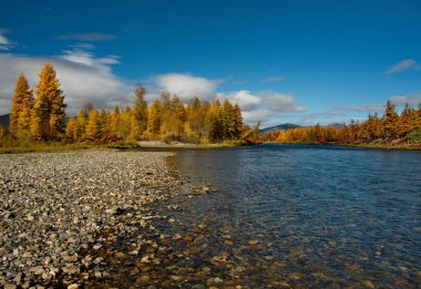 Rusya. Uzak Doğu. Sonbahar, Magadan soğuk su ırmakları kullanılır.