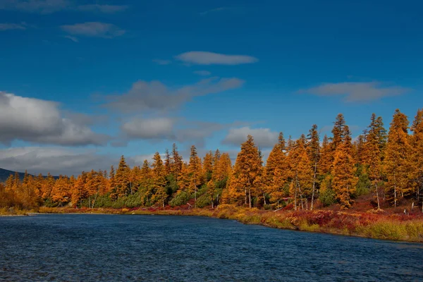 Russia Far East Colours Autumn Cold Water Rivers Magadan — Stock Photo, Image