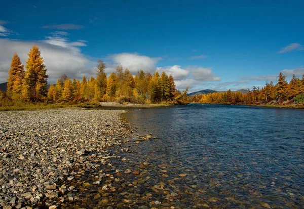 Rusia Timur Jauh Warna Warna Musim Gugur Adalah Sungai Air — Stok Foto