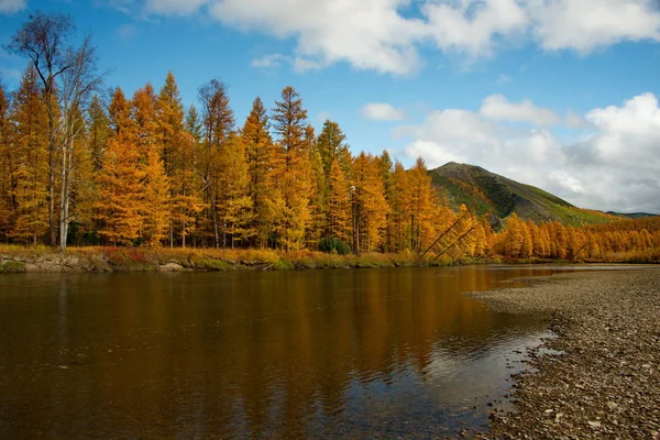 Russia. far East. The colours of autumn are cold-water rivers of Magadan.