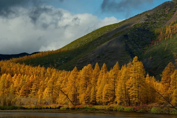 Rusya. Uzak Doğu. Sonbahar, Magadan soğuk su ırmakları kullanılır.