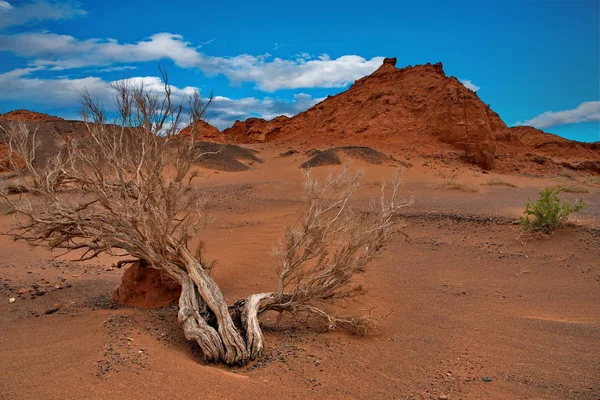 Mongólia Herman Tsav Oásis Meio Deserto Gobi Sem Vida — Fotografia de Stock
