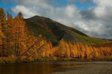 Rusya. Uzak Doğu. Sonbahar, Magadan soğuk su ırmakları kullanılır.