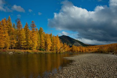 Rusya. Uzak Doğu. Sonbahar, Magadan soğuk su ırmakları kullanılır.