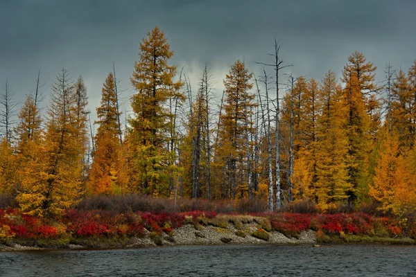 Ryssland Fjärran Östern Färgerna Hösten Kallt Vatten Floderna Magadan — Stockfoto
