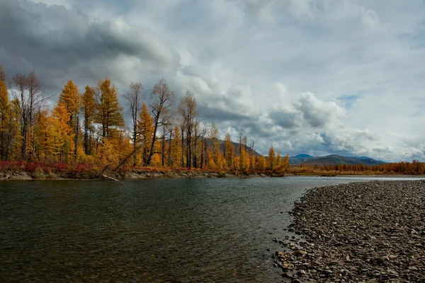Russland Fernost Die Farben Des Herbstes Sind Kaltwasserflüsse Aus Magadan — Stockfoto