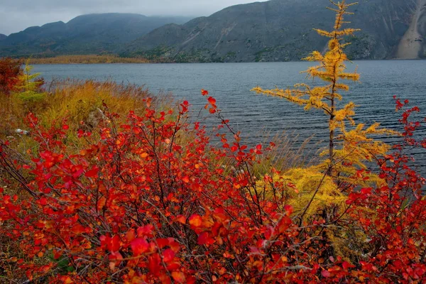 Ryssland Magadan Den Fantastiska Skönheten Hösten Fjärran Östern Den Sjön — Stockfoto