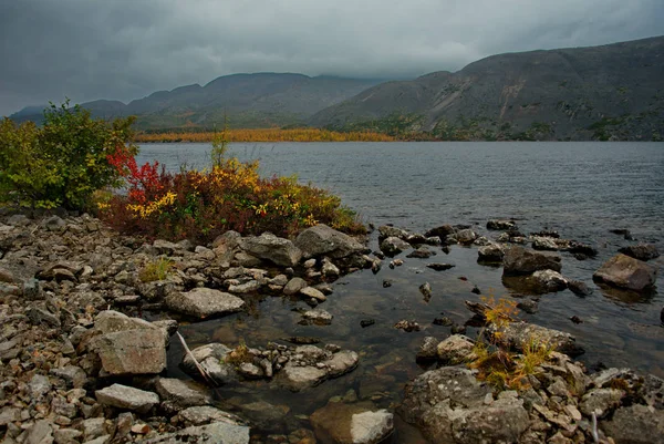 Rusya. Magadan. Uzakdoğu'nun sonbahar inanılmaz güzelliği. Göl Maxi