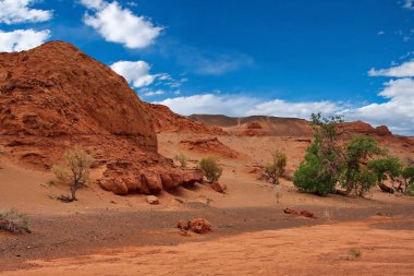 Moğolistan. Cansız Gobi Çölü ortasında Herman Tsav vaha