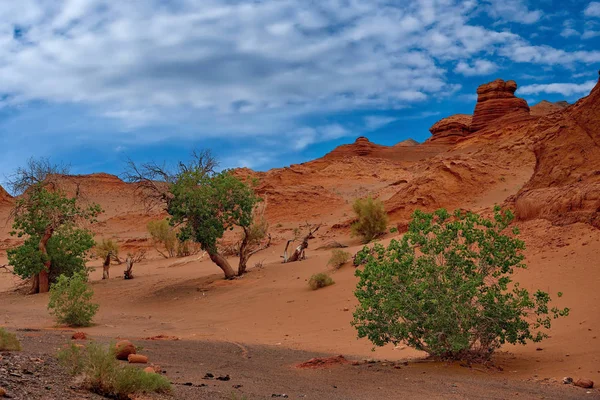 Die Mongolei Herman Tsav Oase Inmitten Der Leblosen Gobi Wüste — Stockfoto