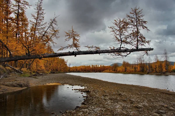 Russia Far East Colours Autumn Cold Water Rivers Magadan — Stock Photo, Image