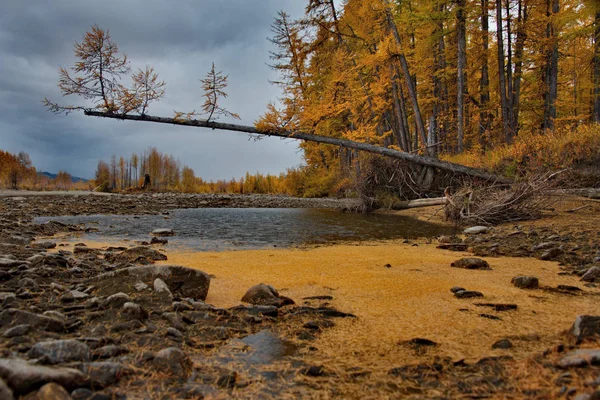 Russland Fernost Die Farben Des Herbstes Sind Kaltwasserflüsse Aus Magadan — Stockfoto