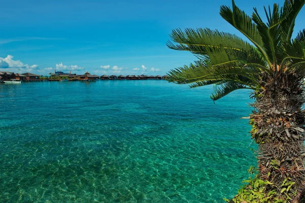 Este Malasia Arrecife Isla Mabul — Foto de Stock