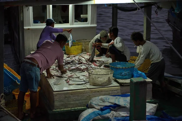 Sandakan Malaysia 2018 Marine Berth Fish Market Every Morning Dawn — Stock Photo, Image