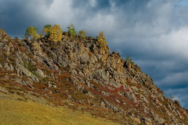 Rosja Południe Zachodniej Syberii Wczesna Jesień Górach Ałtaj — Zdjęcie stockowe