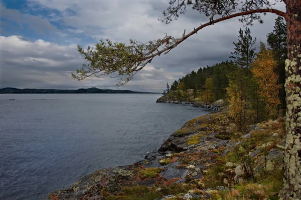 Rússia República Carélia Ilhas Costa Noroeste Lago Ladoga Perto Cidade — Fotografia de Stock