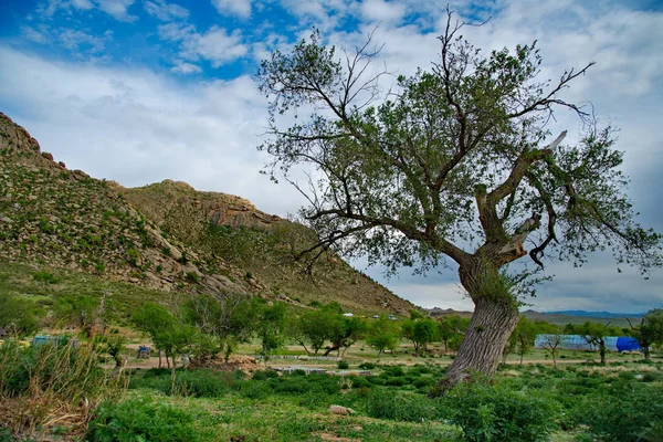 Centrala Mongoliet Ändlösa Mountain Stäpperna Området Kloster Ovgon Hyde — Stockfoto