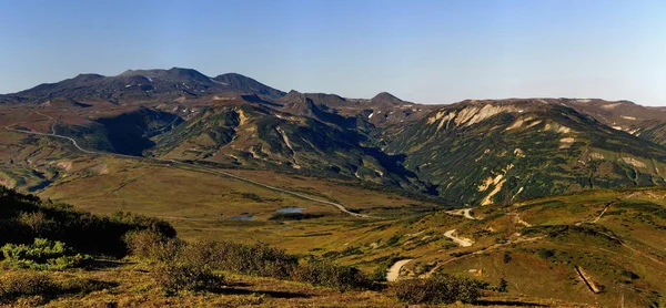 Russia. far East. The hills of the Kamchatka Peninsula are almost all covered with stone birch, cedar and various shrubs.