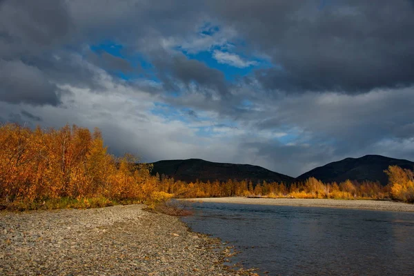 Oroszország Távol Keleten Őszi Színei Hidegvízi Folyók Magadan — Stock Fotó