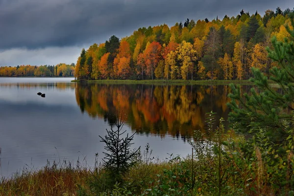 俄罗斯 卡累利阿共和国 奥涅加湖西北海岸 — 图库照片