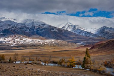 Rusya. Batı Sibirya güneyinde. Altay Dağları doğal Park 