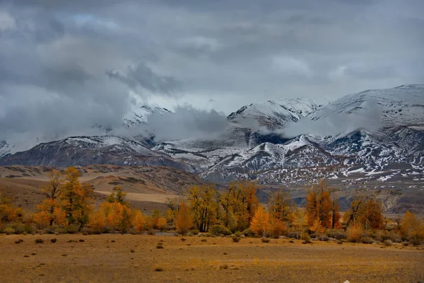 Russland Südwestsibirien Herbst Altai Der Nähe Des Naturparks Marsfelsen — Stockfoto
